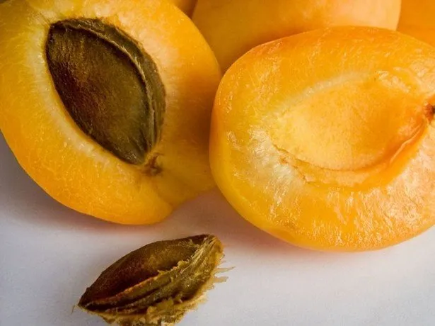 Абрикосы высокого качества для приготовления абрикосов
