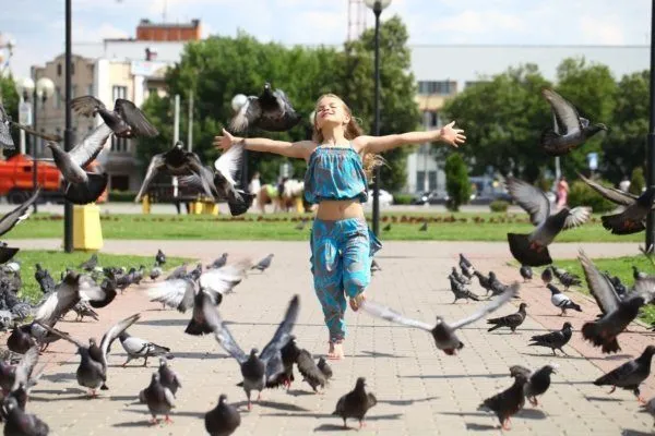 Летом голуби часто скапливаются вблизи людей.