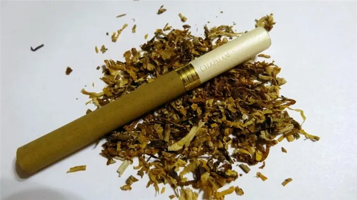 Сорта и характеристики табака