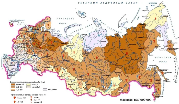 Карта грибных регионов России.