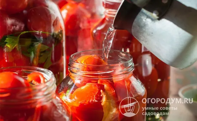 Также на нашем сайте вы можете найти проверенные оригинальные рецепты домашнего консервирования помидоров на зиму.