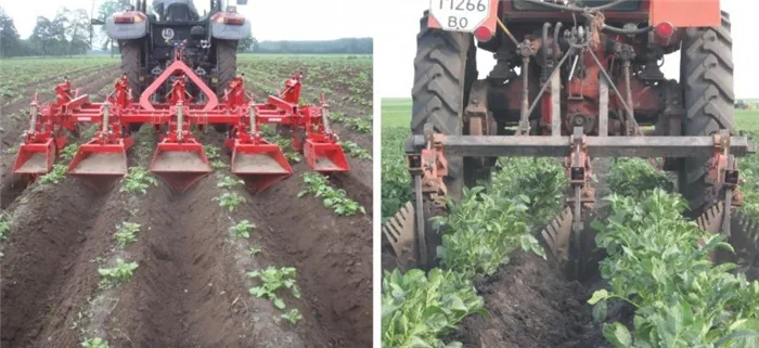Тракторные экскаваторы для картофеля