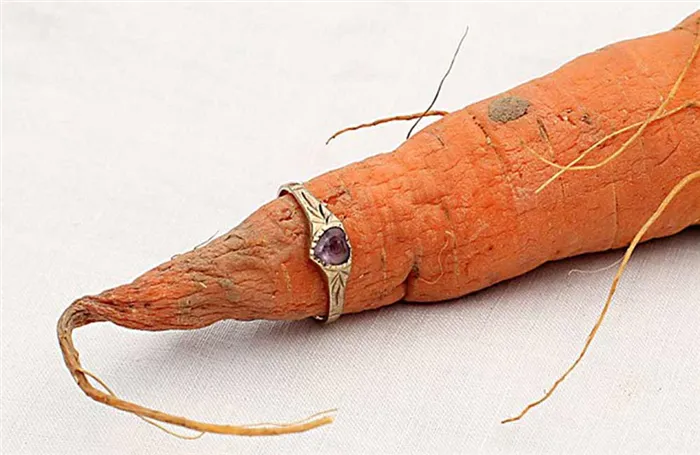 Подвяленная морковь
