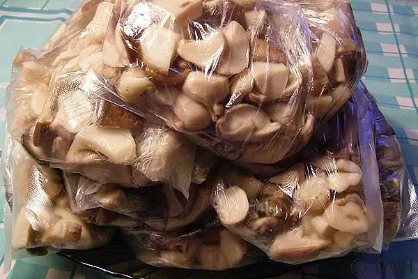 Отварные грибы в пакете
