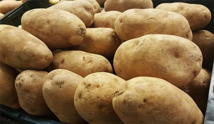 Как прорастить картофель для посадки - пять методов отбора - фото