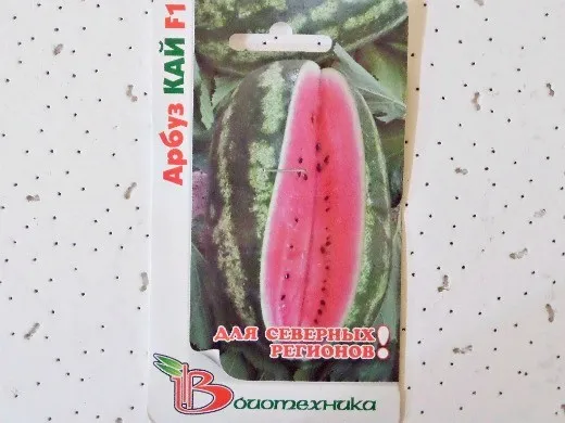Лучший сорт арбуза с фото и описанием - kaif1