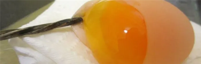 Почему куры несут яйца без скорлупы?