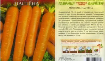Морковь Настены