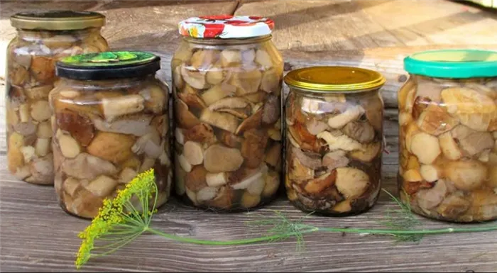 Рецепт приготовления горячих маринованных соленых ступенчатых грибов