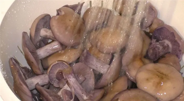 Промойте грибы под проточной водой.