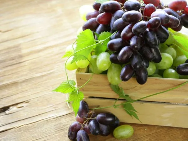 Различные сорта винограда, каковы полезные свойства ягод, можно ли их есть при похудении