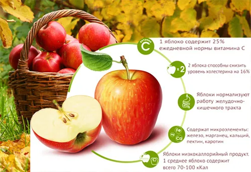 Состав и полезные свойства яблок
