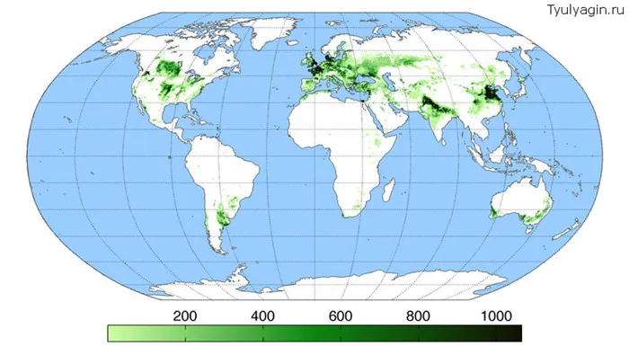 Производство пшеницы в мире на карте урожая
