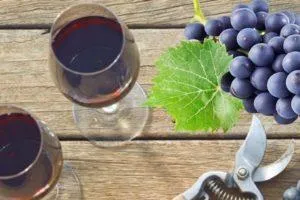 6 Шагов - Пошаговый рецепт приготовления вина из винограда Изабелла в домашних условиях
