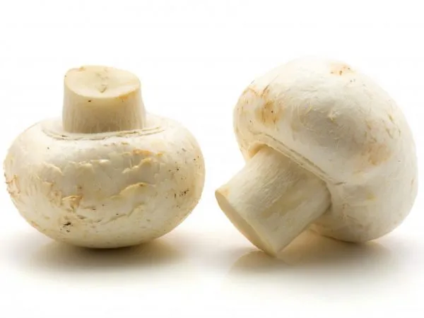 Различия между поддельными и настоящими грибами