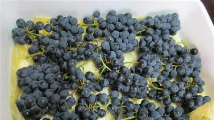 Как заморозить виноград в морозильной камере и если это возможно