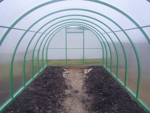 Почва в теплице должна быть подготовлена очень тщательно, чтобы обеспечить подходящие условия для растений.