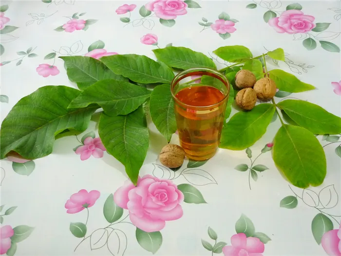 Чай из грецкого ореха используется для лечения диабета, подагры, диареи, цистита и заболеваний желчного пузыря.