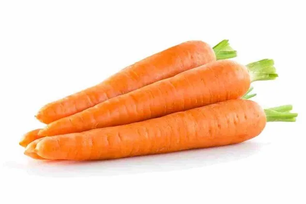Морковь во время беременности