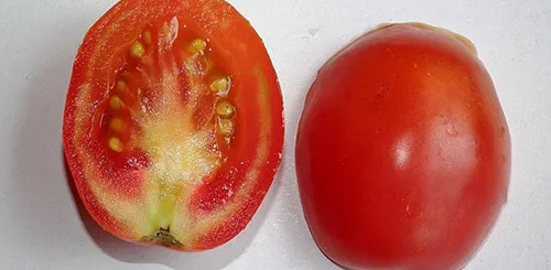 Белые полосы на томатах могут быть вызваны разнообразием