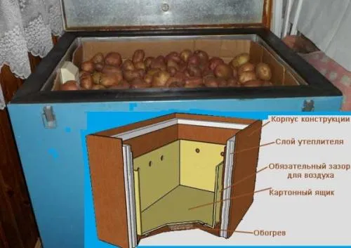 Можно ли мыть картофель перед хранением зимой? Мытье картофеля перед хранением: за и против 09