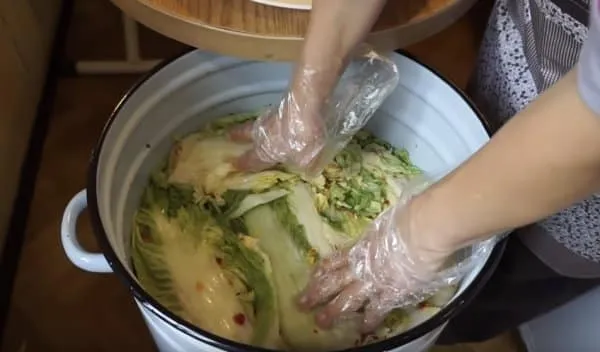 Самый простой и вкусный рецепт засолки пекинской капусты в домашних условиях