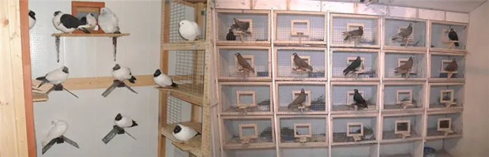 Гнездовые ящики для голубей