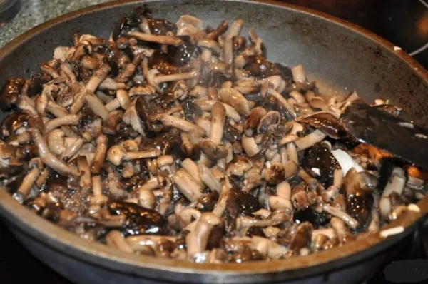 Как правильно заморозить свежие грибы опята, отваренные на зиму при заморозке