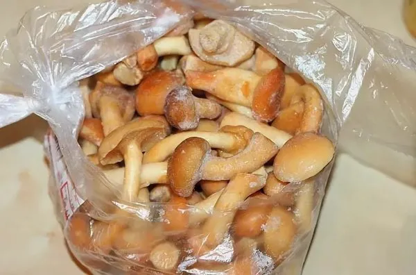 Как правильно заморозить свежие грибы опята, отваренные на зиму при заморозке