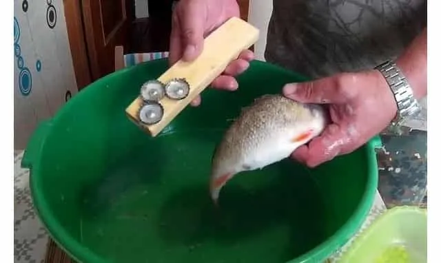 Чистите рыбу с помощью самодельной рыбочистки