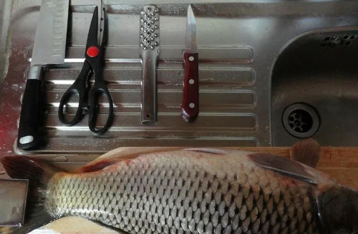 Для чистки вам понадобится нож или рыбочистка, разделочная доска, ножницы и пленка / Фото: legkovmeste.ru