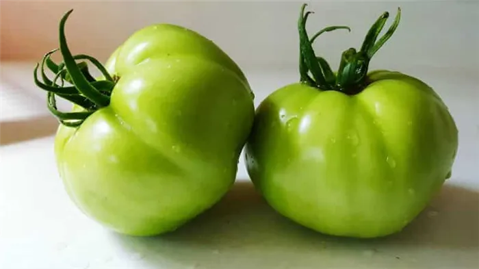 Как хранить помидоры до покраснения: ускорить созревание и дольше сохранить их свежими