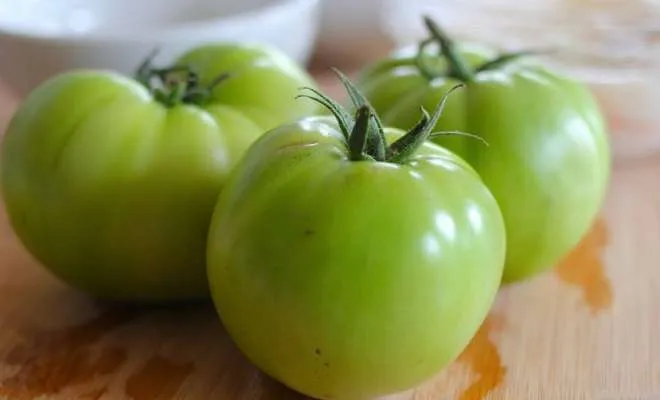 Соланин в зеленых томатах.