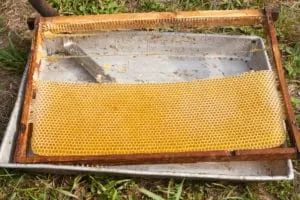 Пчелиные рамки