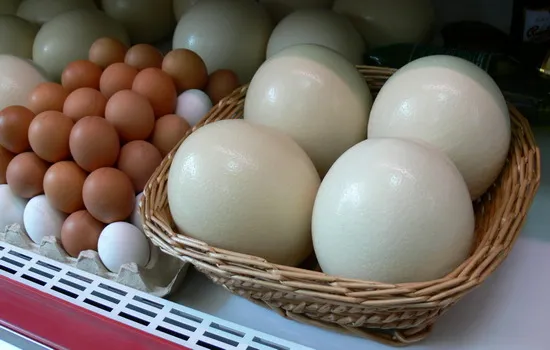 Как долго нужно варить страусиные яйца, чтобы они затвердели?