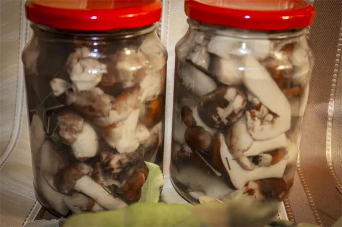 Валуйские грибы, маринованные с чили на зиму - пошаговый рецепт с фото