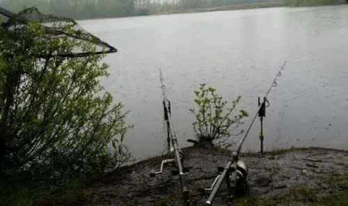 Особенности рыбалки во время дождя