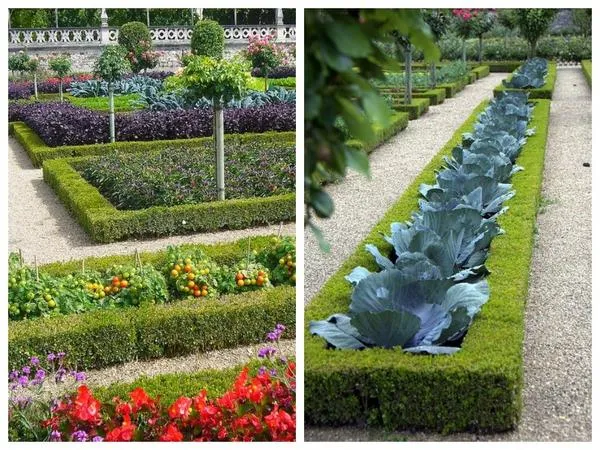 Декоративные огороды веками украшали дворцы и монастырские парки.