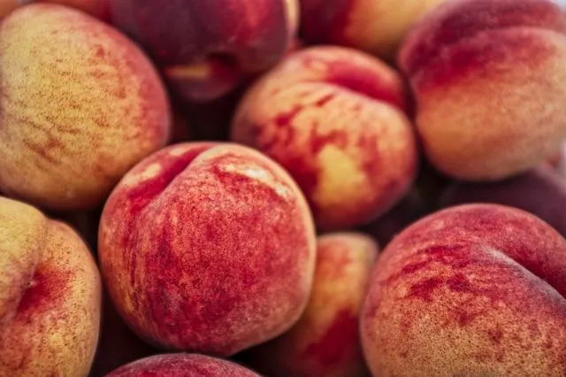 Сушеные персики: как их назвать, как сушить в домашних условиях
