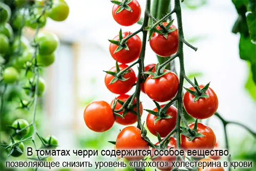 Состав и польза помидоров черри для здоровья