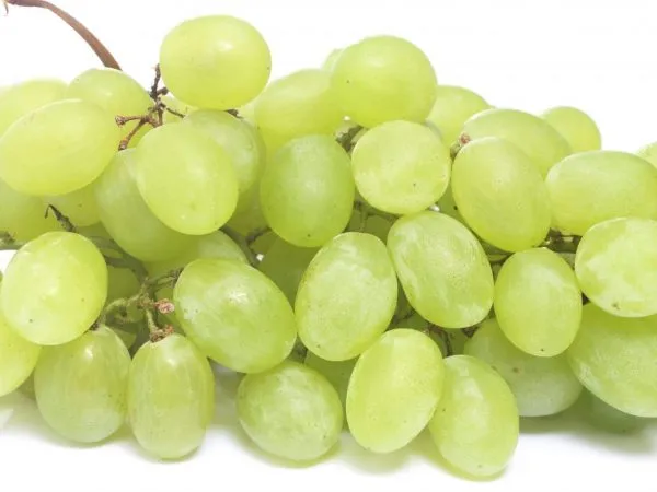 Виноград обладает положительными свойствами