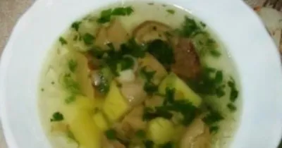 Суп из свежих белых грибов с картофелем и шнитт-луком