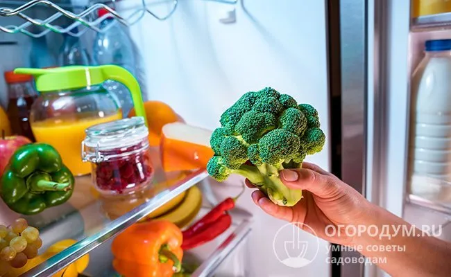 Брокколи можно хранить свежей в холодильнике от 3 дней до 1,5 месяцев.
