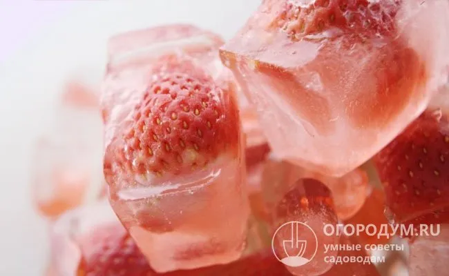 Эти красочные и вкусные кубики льда станут прекрасным дополнением к любому коктейлю.