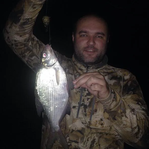 Рыбалка на леща ночью