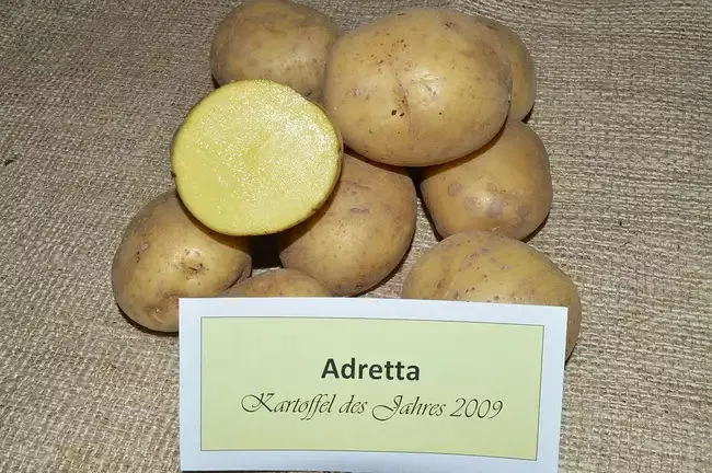 Характеристика картофеля Адретта.
