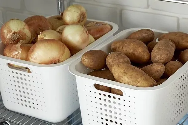 Сохранить лук и картофель