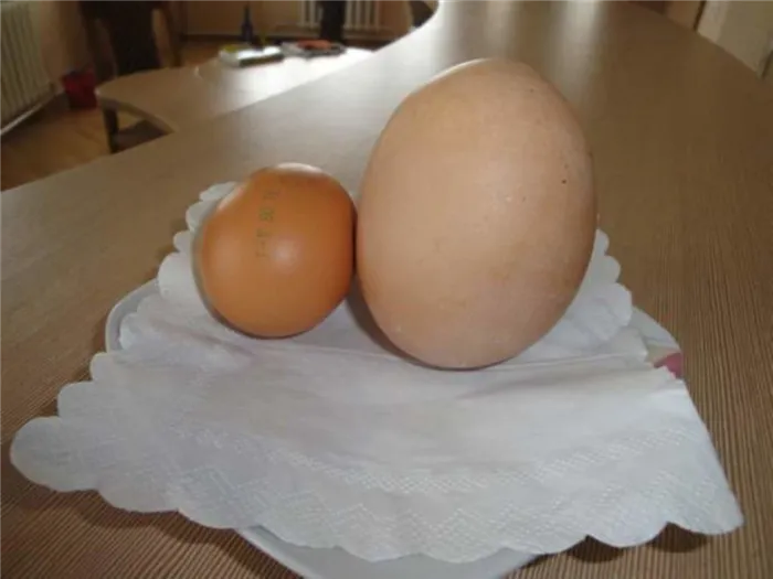 Большие и маленькие яйца