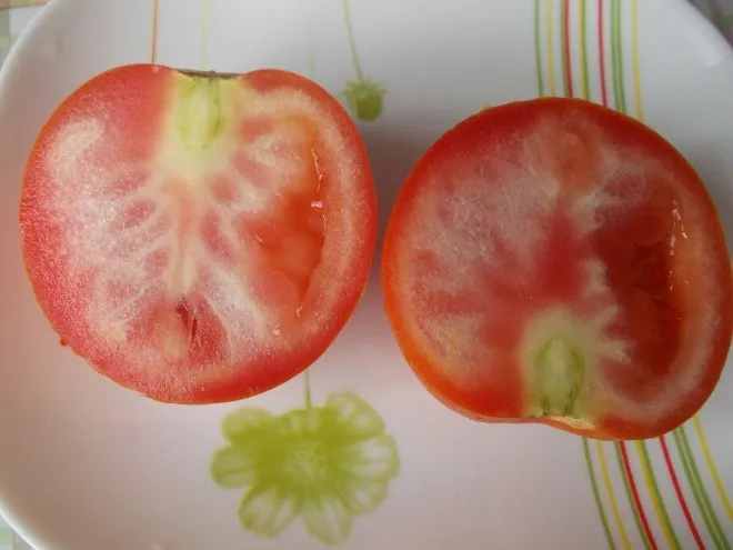 Умеренно сочный спелый помидор с белой полосой посередине