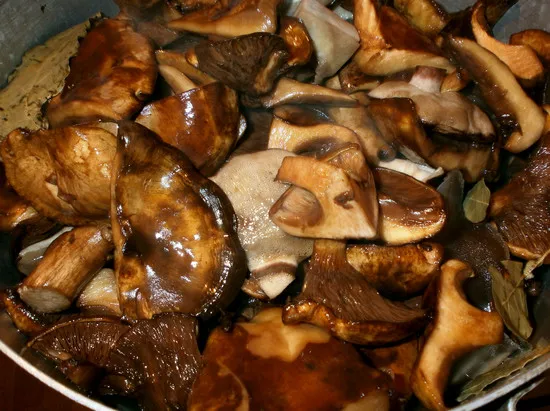 Как долго нужно варить грибы перед запеканием?